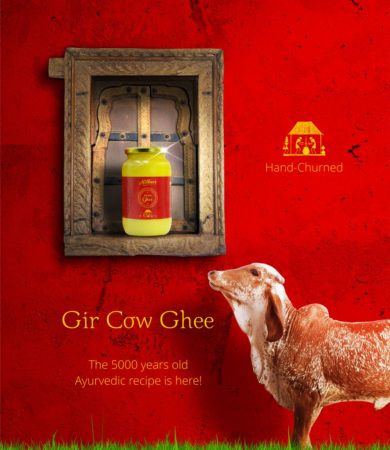 Milkmor_Cow_Milk_Ghee_Gir_Ahmedabad_Buttermilk_Best_Banner_1